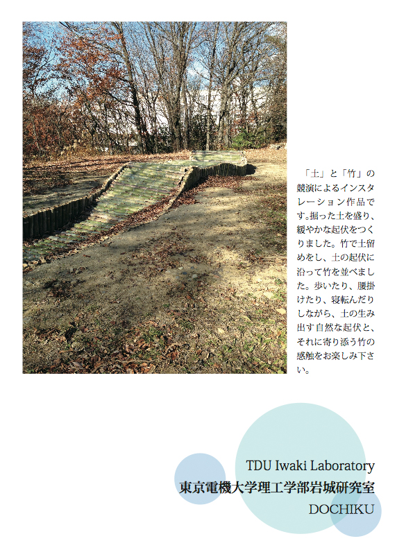 東京電機大学岩城研究室 TDU Iwaki Laboratory 国際野外の表現展2013参加作品